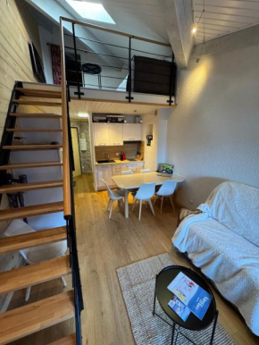 Appart 6-8 pers le bel alpe Huez